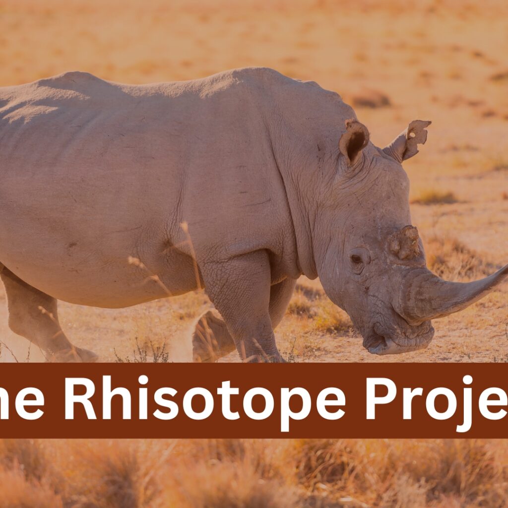 Rhisotope project